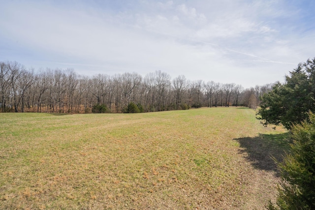 000 E State Highway Yy, Strafford, MO 65757 - photo 9