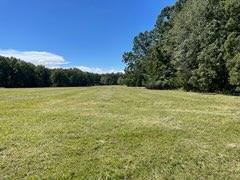 000 E State Highway Yy, Strafford MO, 65757 land for sale