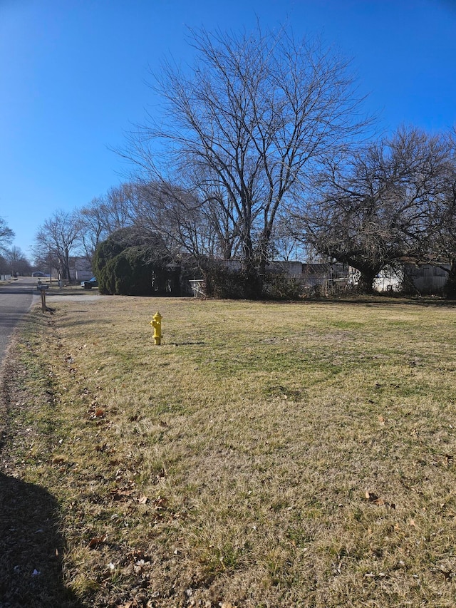 view of yard