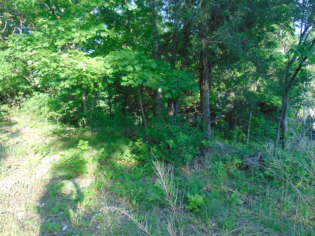 LOT16 Lakewood Rd, Branson MO, 65616 land for sale