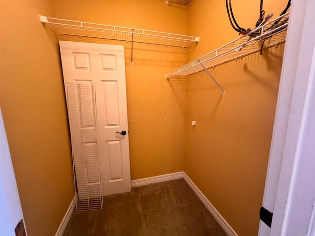 view of walk in closet