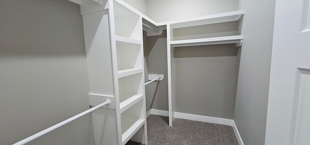 spacious closet with carpet flooring