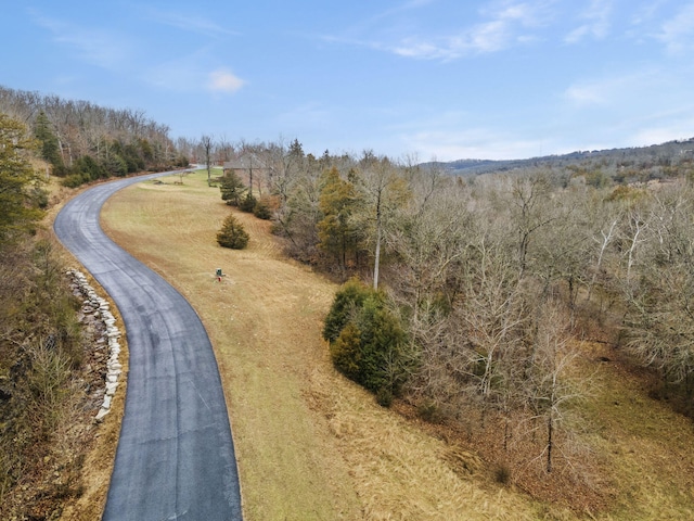 LOT7 Saddlebrooke Dr, Saddlebrooke, MO 65630 - photo 5