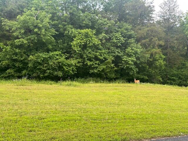 LOT7 Saddlebrooke Dr, Saddlebrooke MO, 65630 land for sale