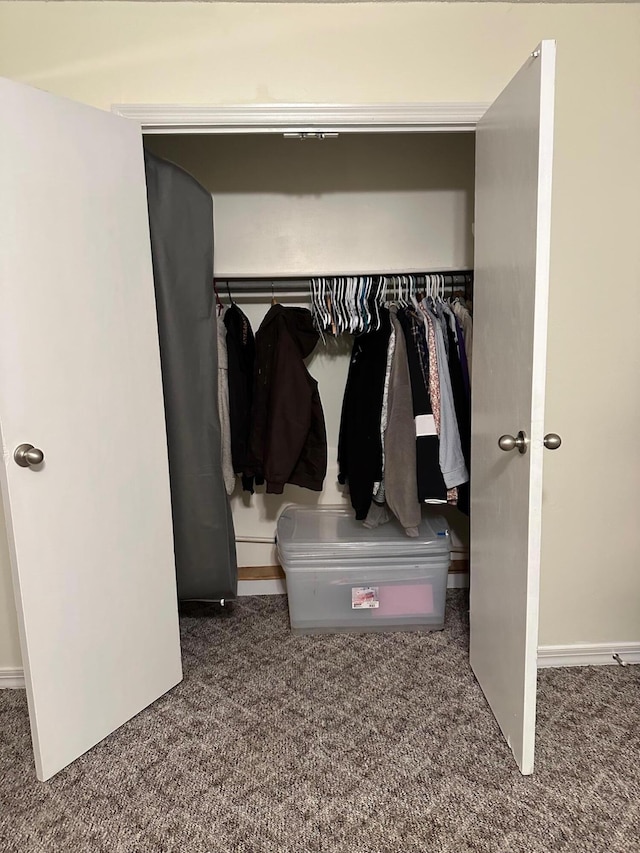 view of closet