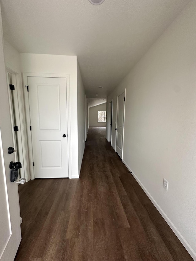 hall with dark wood-type flooring