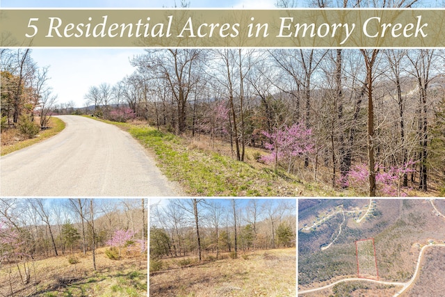 1916 Emory Creek Blvd, Branson MO, 65616 land for sale