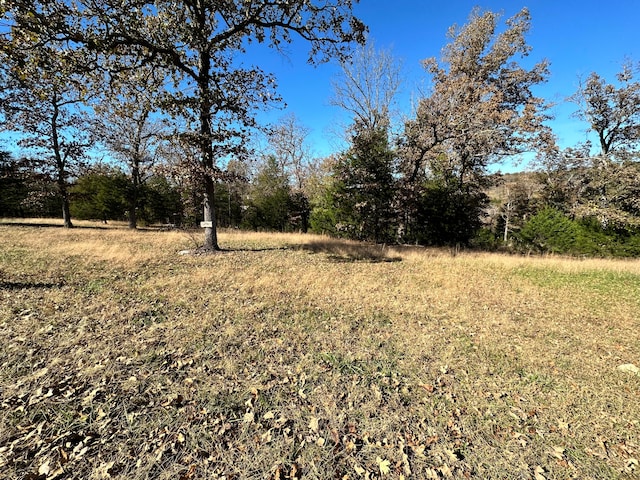 LOTS3637 Appaloosa Trl, Saddlebrooke MO, 65630 land for sale