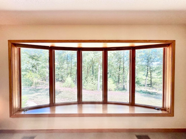 entryway with plenty of natural light