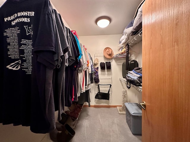 view of spacious closet