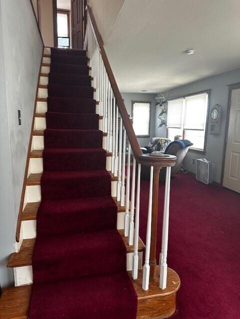 stairway featuring carpet flooring