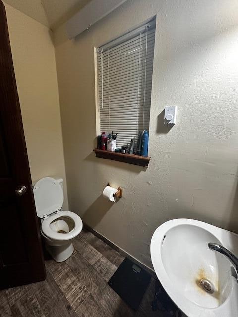 bathroom with wood-type flooring, sink, and toilet