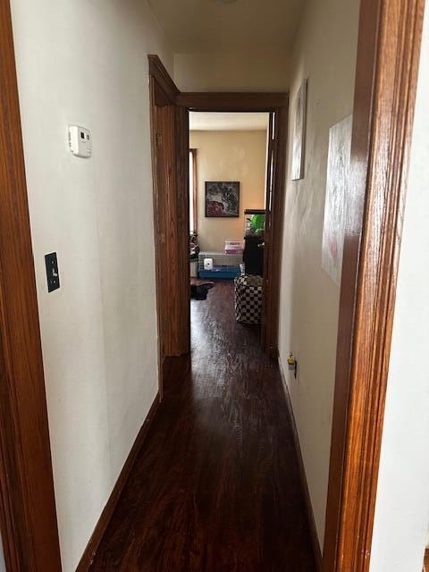 corridor featuring dark hardwood / wood-style floors