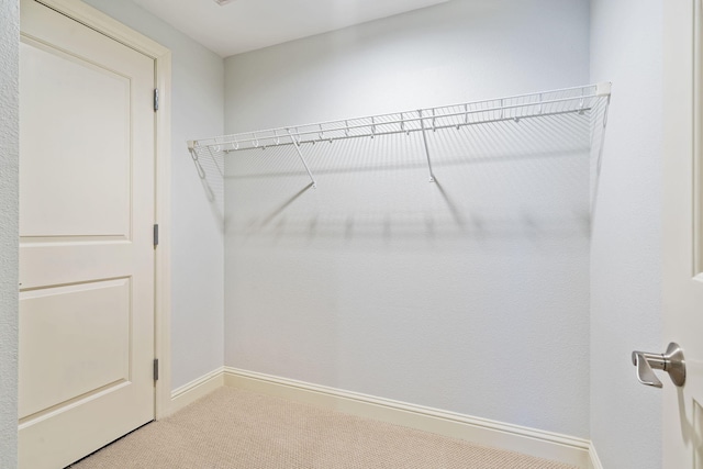 walk in closet with carpet floors