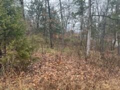 000(Tbd) Mockingbird Road Lots 3 & 4, Merriam Woods MO, 65740 land for sale