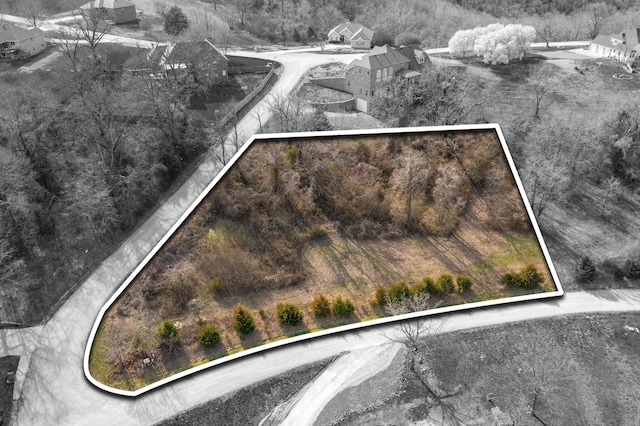 LOT61 Jacks Hollow Rd, Walnut Shade MO, 65771 land for sale