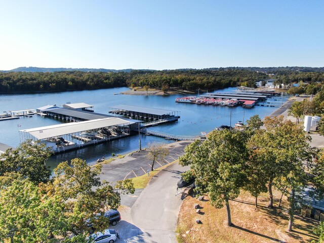 000 Black Rock Ln, Kimberling City, MO 65686 - photo 16