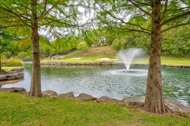 property view of water