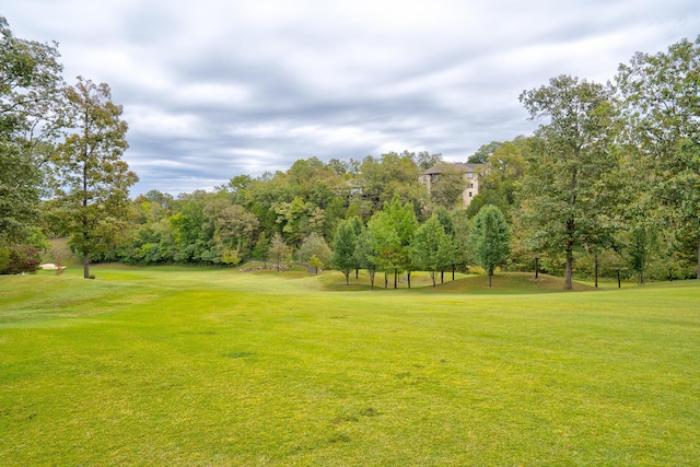 653 Forest Lake Dr, Branson West, MO 65737 - view of home's community with a yard and view of scattered trees