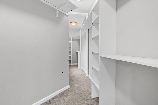 spacious closet with light colored carpet