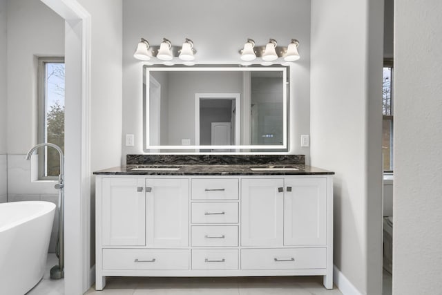 bathroom with vanity and a bathing tub