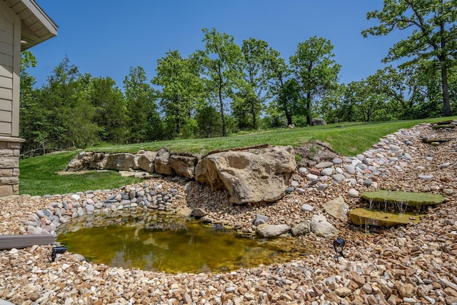 653 Forest Lake Dr, Branson West, MO 65737 - view of yard
