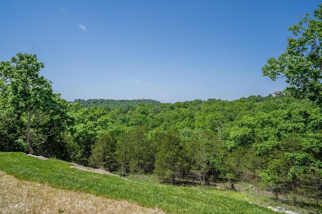 653 Forest Lake Dr, Branson West, MO 65737 - view of woods