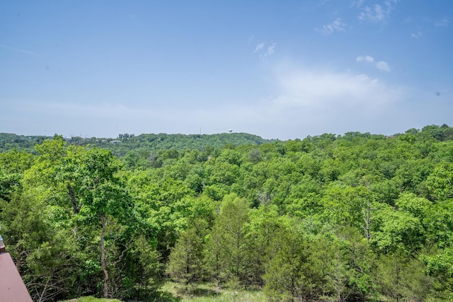 653 Forest Lake Dr, Branson West, MO 65737 - view of woods