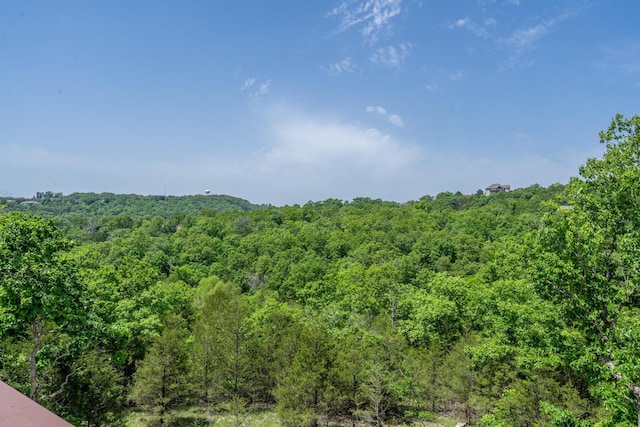 653 Forest Lake Dr, Branson West, MO 65737 - view of woods