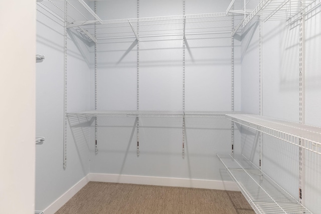 walk in closet featuring carpet