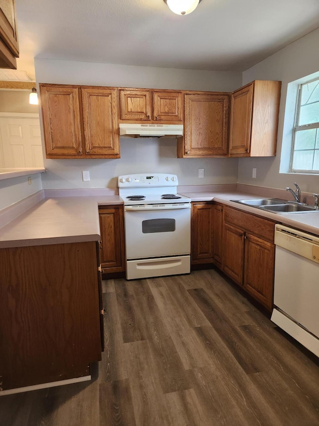 kitchen featuring white appliances, dark hardwood / wood-style floors, and sink