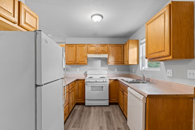 kitchen featuring white appliances, light hardwood / wood-style floors, sink, and a textured ceiling