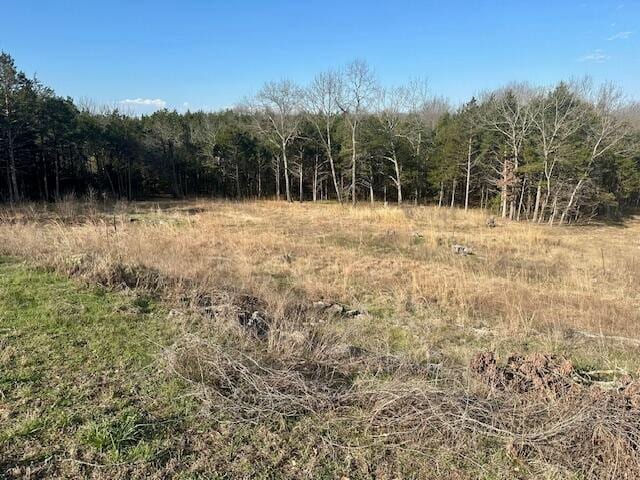 Listing photo 3 for LOT181 Silver Sunset Ln, Kimberling City MO 65686