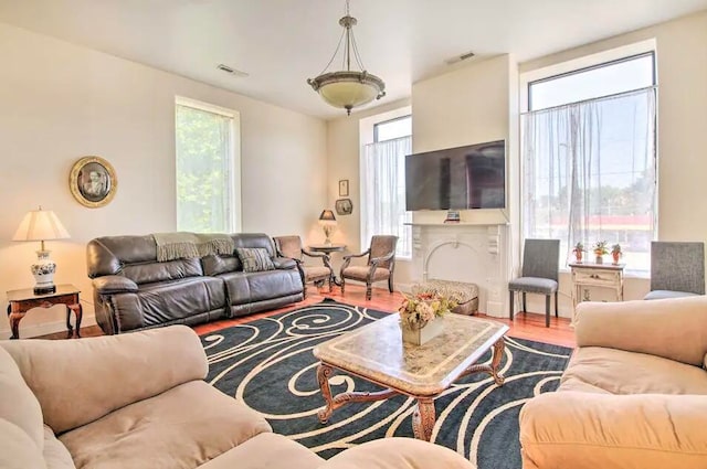 living room featuring hardwood / wood-style flooring