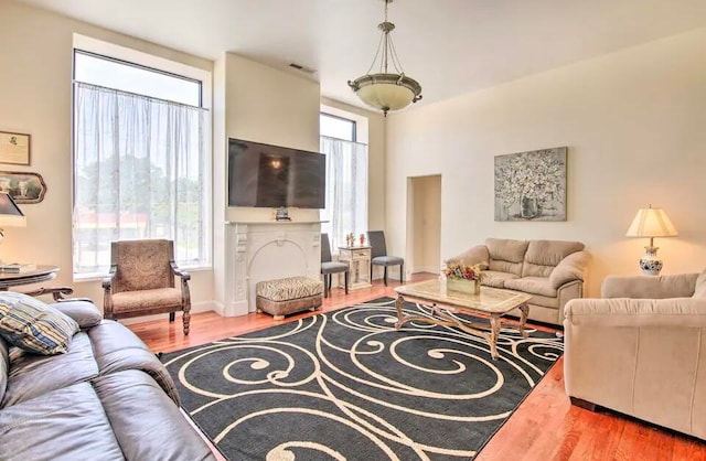 living room with wood-type flooring