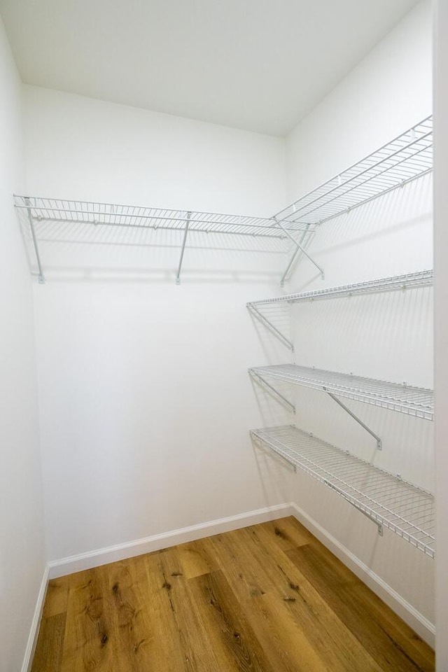 walk in closet with hardwood / wood-style flooring