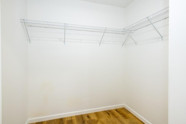 walk in closet with hardwood / wood-style flooring