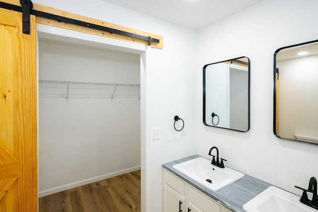 bathroom with wood-type flooring and vanity