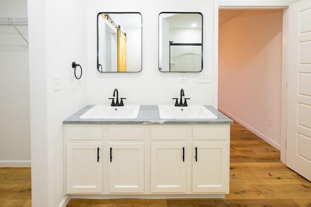 bathroom featuring hardwood / wood-style flooring and vanity