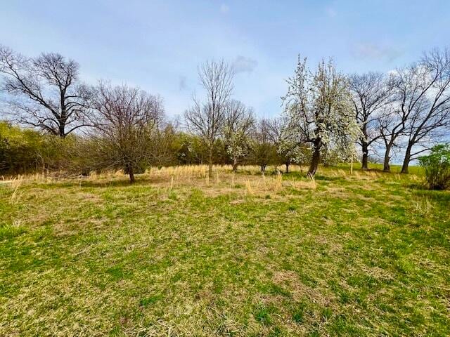 1138 County Road 8120, West Plains MO, 65775 land for sale