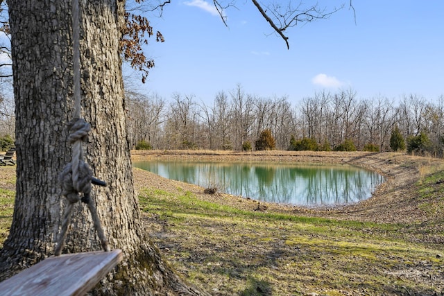 view of water feature