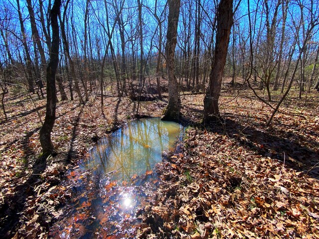 view of water feature