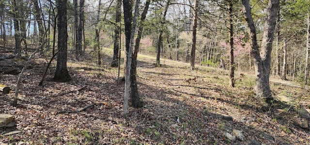 Listing photo 2 for LOT40-41 Cedar Pt, Shell Knob MO 65747