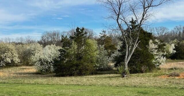 Listing photo 3 for LOT1 County Road 8510, West Plains MO 65775