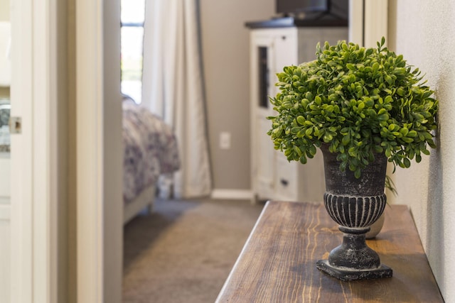 room details featuring carpet floors