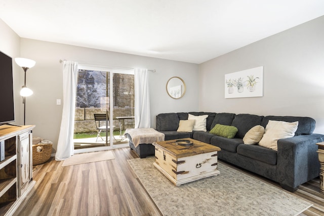 living room with wood-type flooring