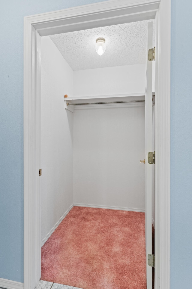 walk in closet featuring light carpet