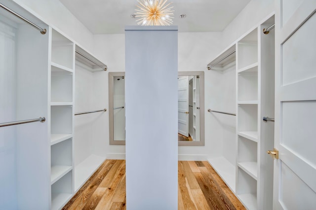 spacious closet featuring hardwood / wood-style flooring