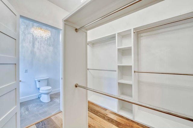 bathroom with hardwood / wood-style floors and toilet