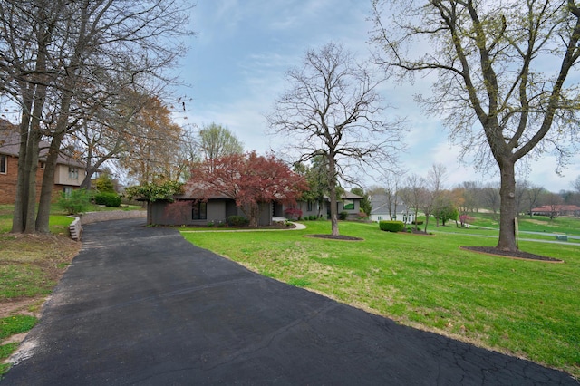 view of front facade with a front lawn